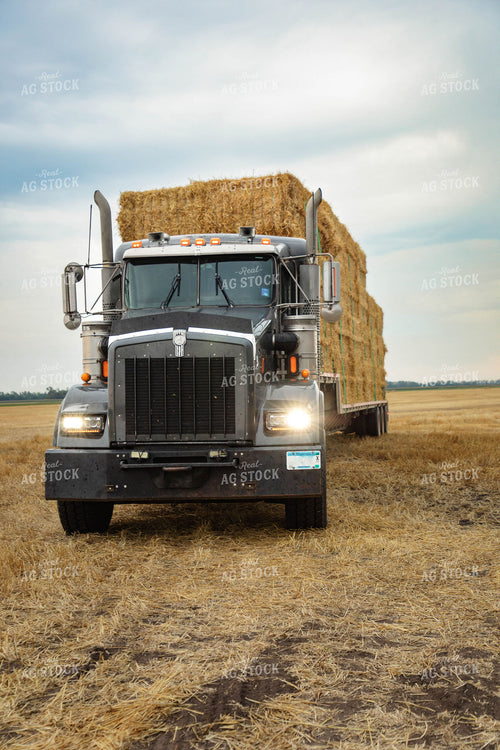 Moving Wheat Straw Bales 152595