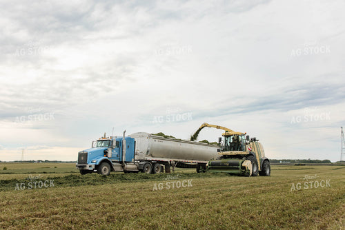 Harvesting Haylage 152802