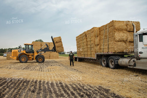 Stacking Wheat Straw Bales 152594