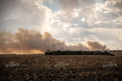 Field Fire Smoke 25839