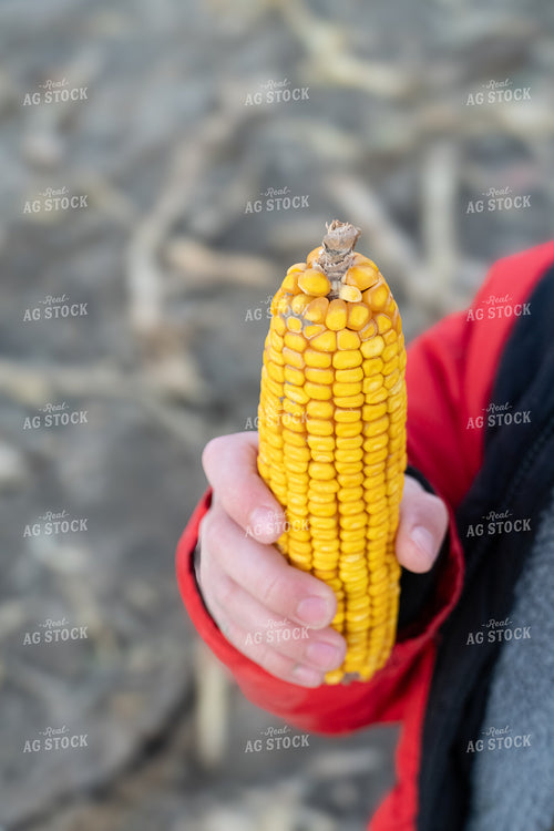 Farm Kid Holding Ear of Corn 65545