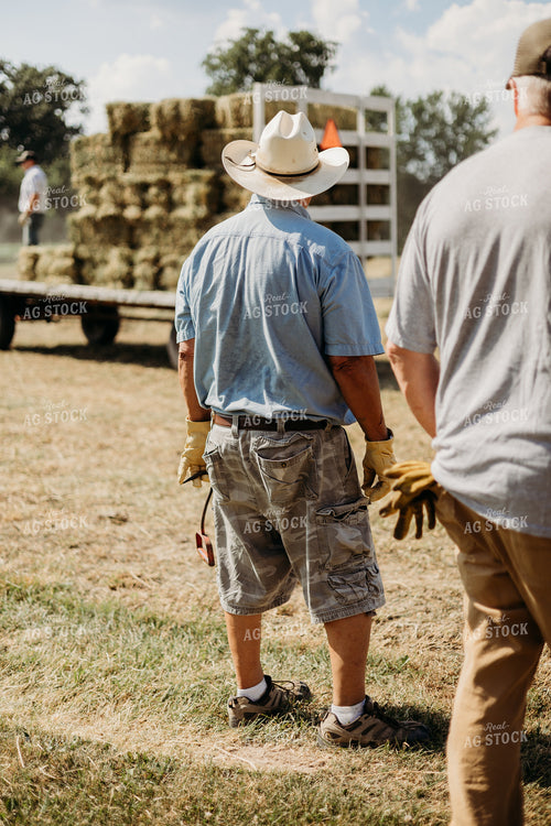 Baling Square Hay Bales 281043