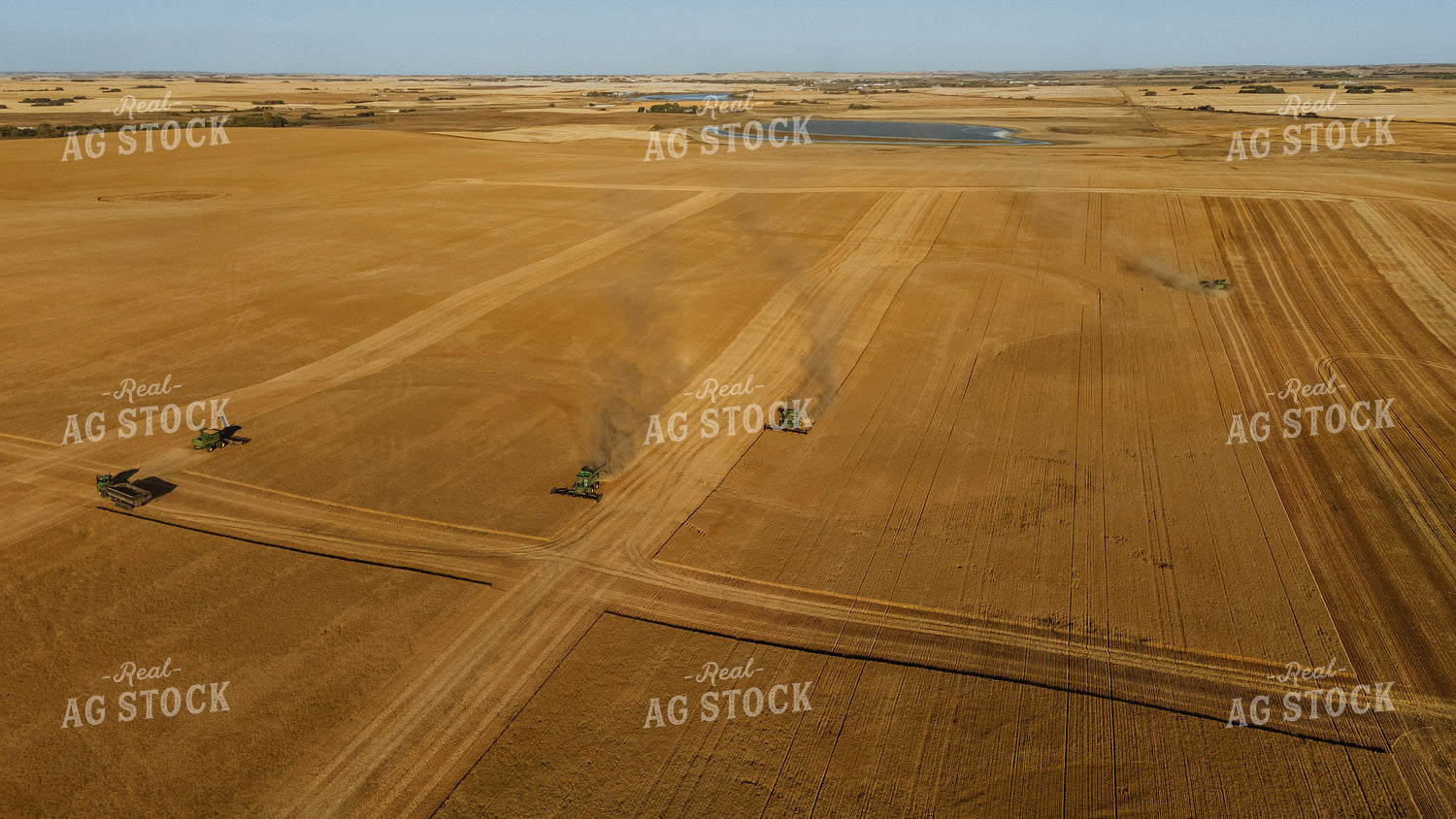 Wheat Harvest 187298