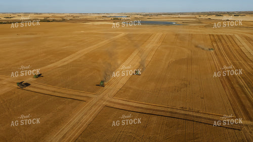 Wheat Harvest 187298