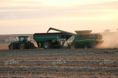 Combine Unloading into Grain Cart 82010