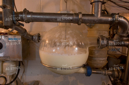Milk Tank 161034
