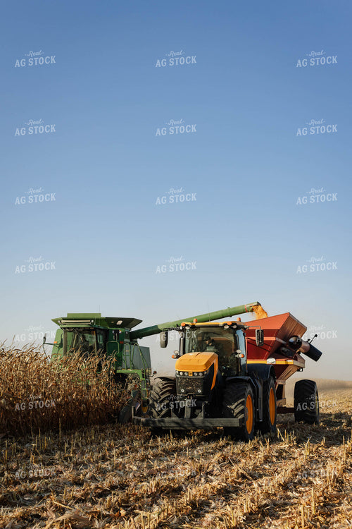 Corn Harvest 152638