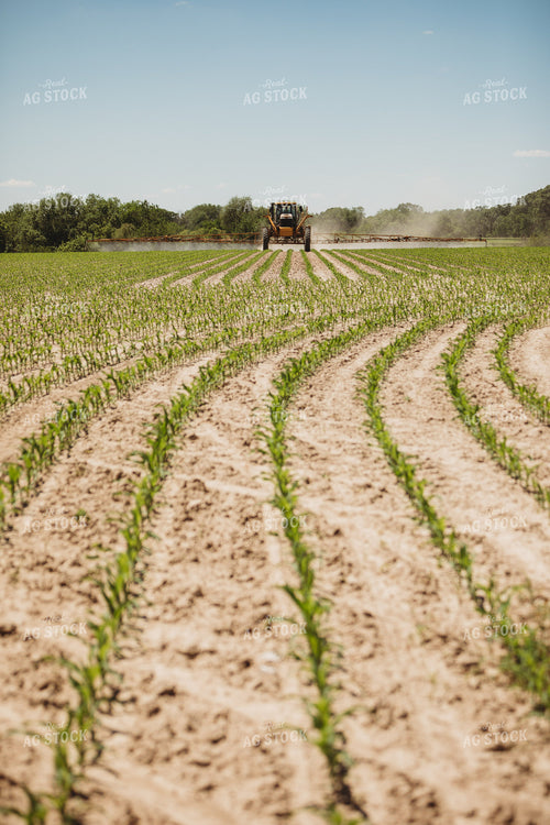 Spraying V3 V4 Corn Field 5792