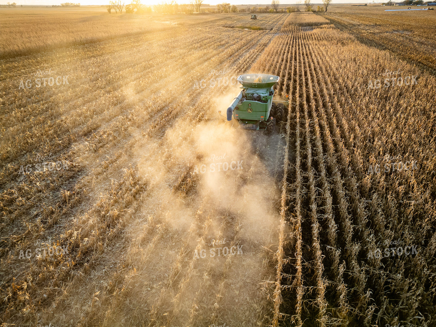 Aerial of Corn Harvest at Sunset 268232