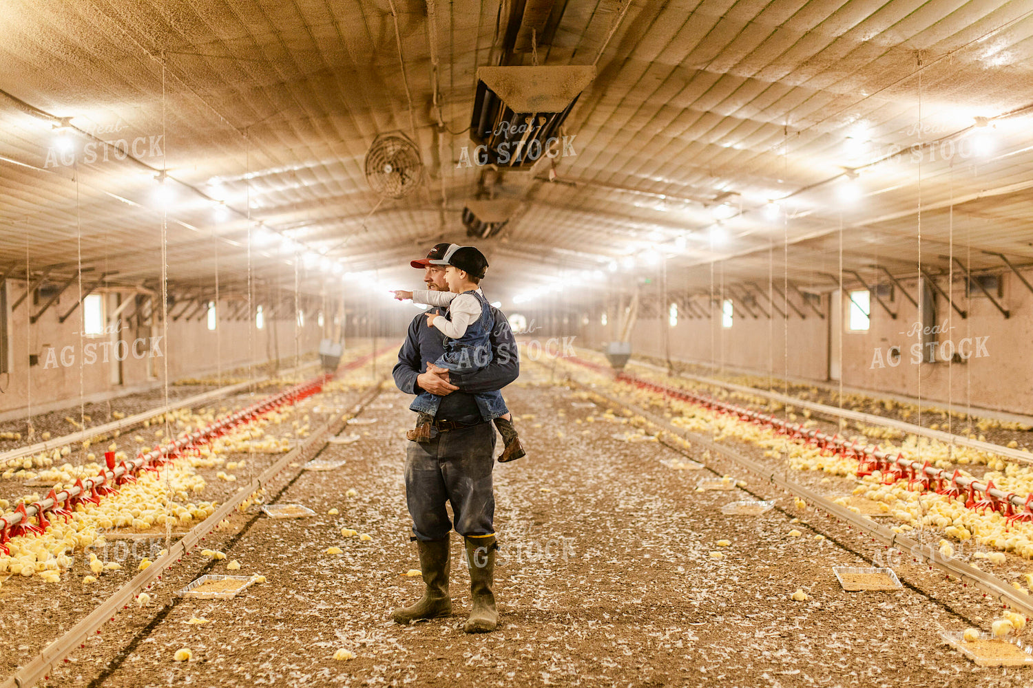 Farmer and Son in Chicken Barn 280001