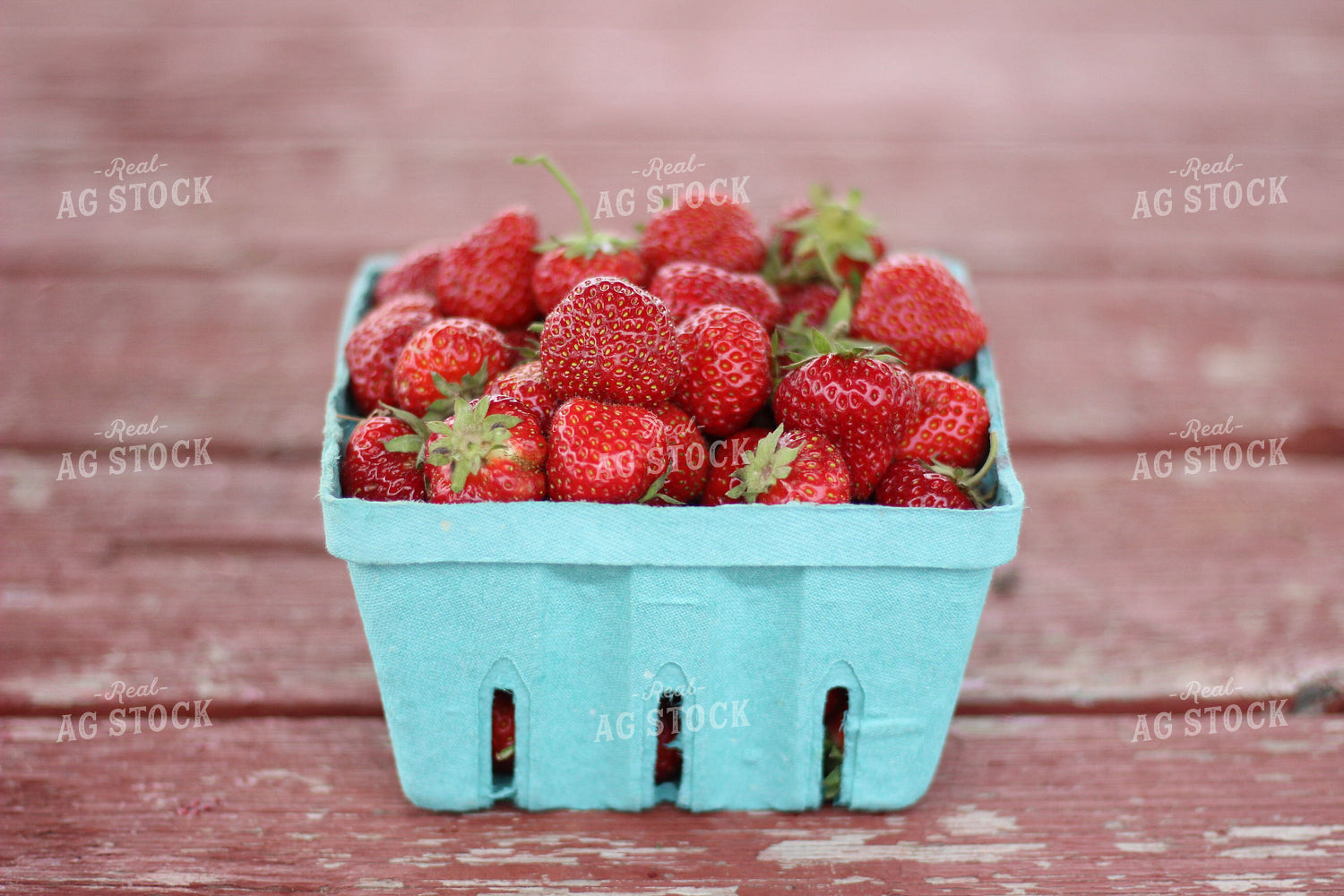 Strawberries 73057