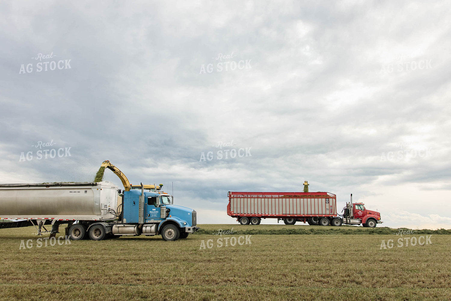 Harvesting Haylage 152798