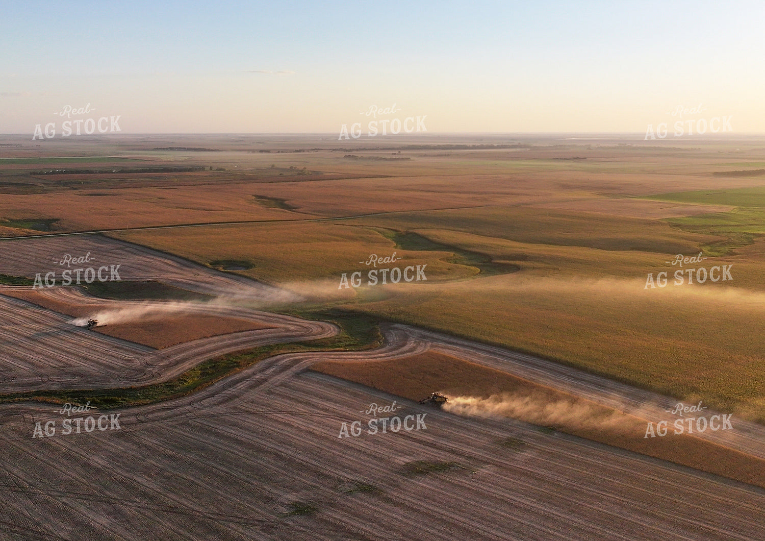 Soybean Harvest 141446