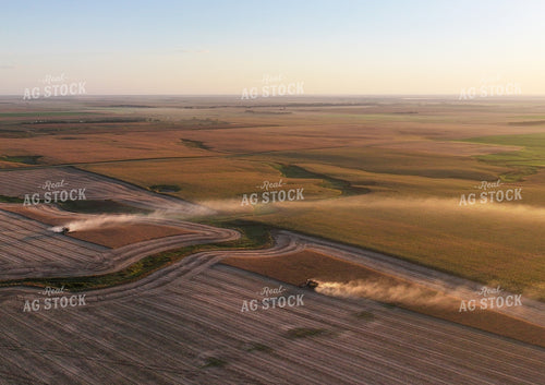 Soybean Harvest 141446