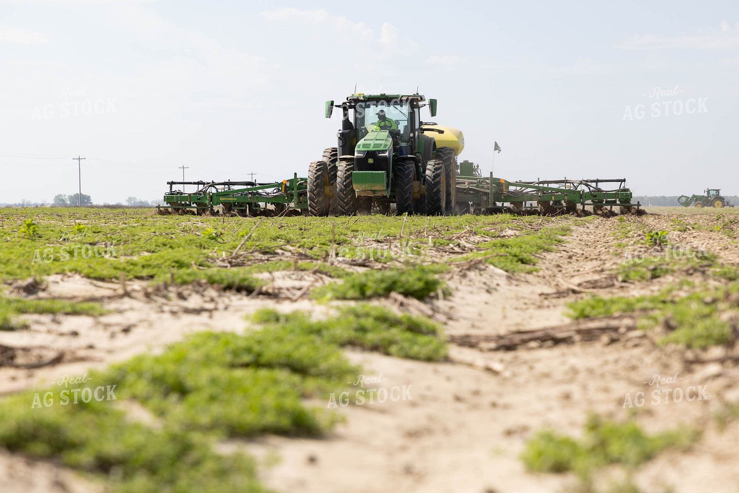 Planting 79629