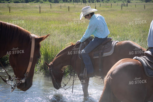 Cowboy on Horseback 117430