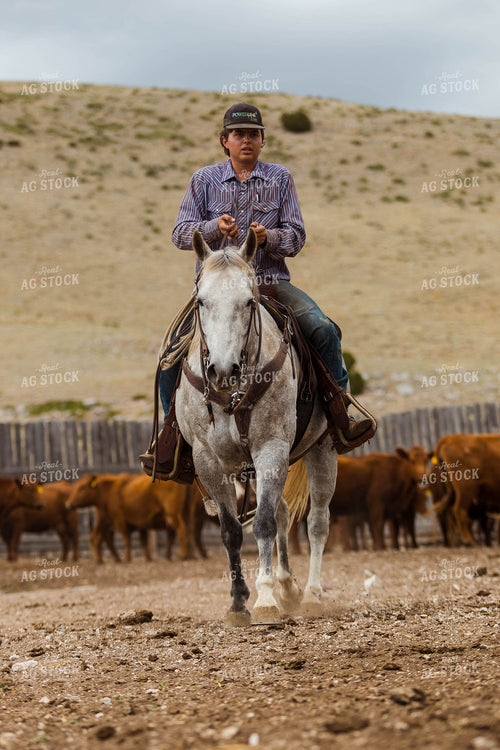 Rancher on Horseback 97228