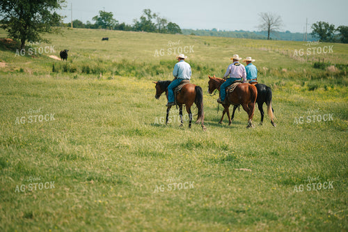 Ranchers Corral Cattle in Pasture on Horseback 125142