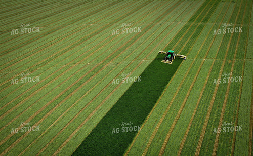 Cutting Alfalfa Hay 56028