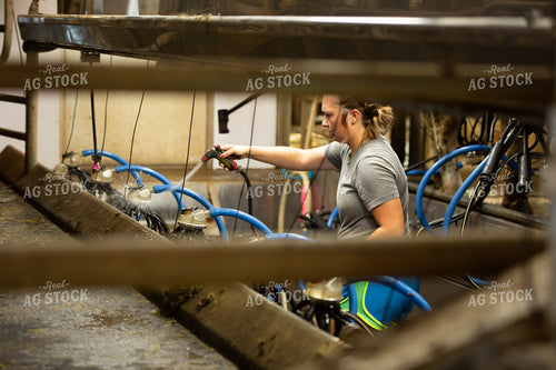 Cleaning Milk Parlor 161096