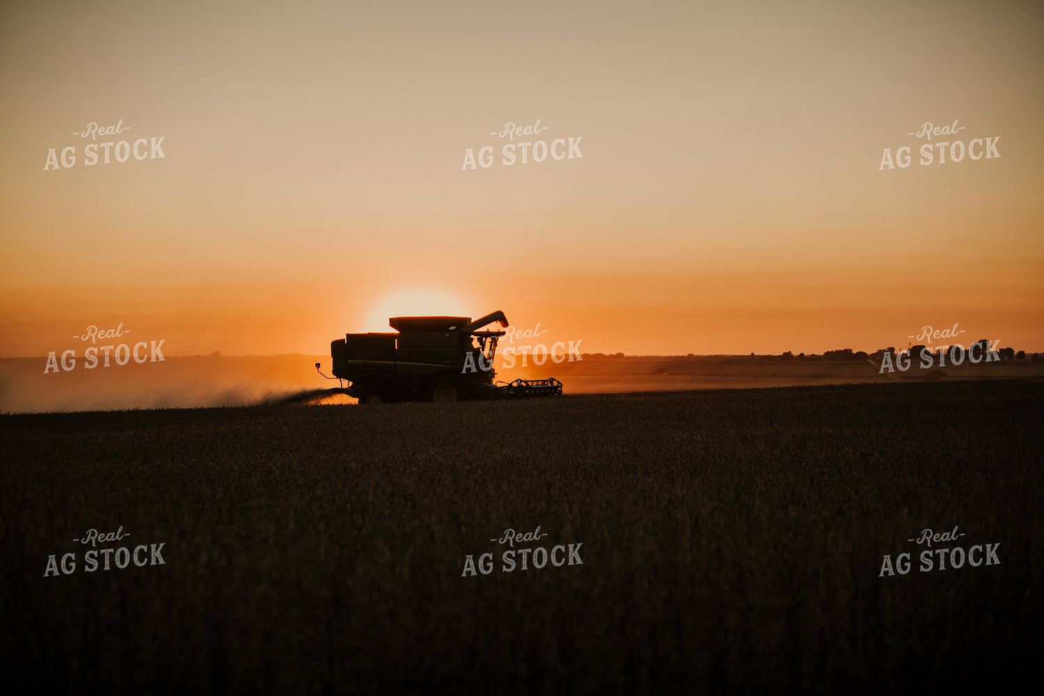 Harvest 2608