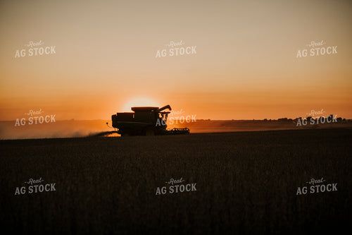 Harvest 2608