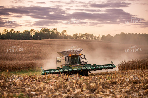 Corn Harvest 270631