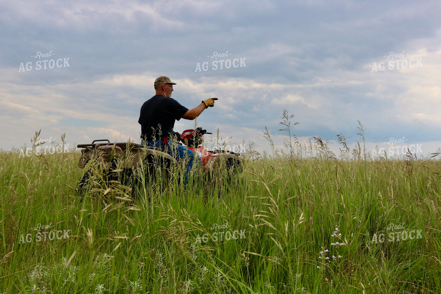Farmer Checking Pastures 299270