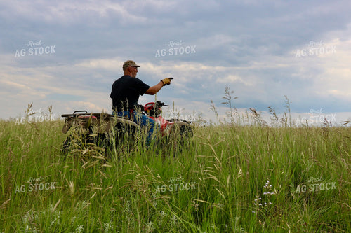 Farmer Checking Pastures 299270