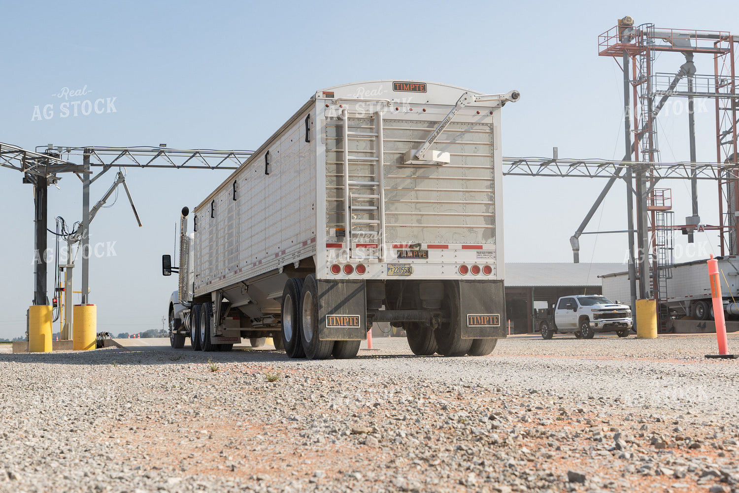 Unloading Grain at Elevator 79824