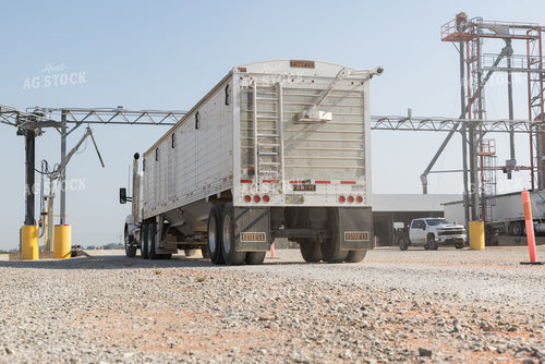 Unloading Grain at Elevator 79824