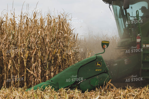 Corn Harvest 219077