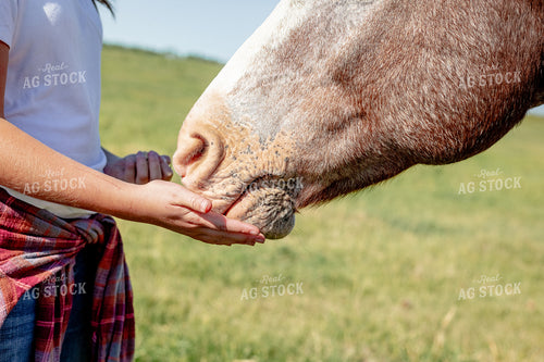 Farm Kid with Horse 155280