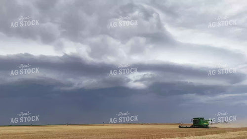 Wheat Harvest 239007