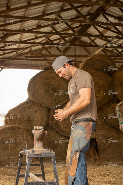 Farrier Shoeing Horses 52429