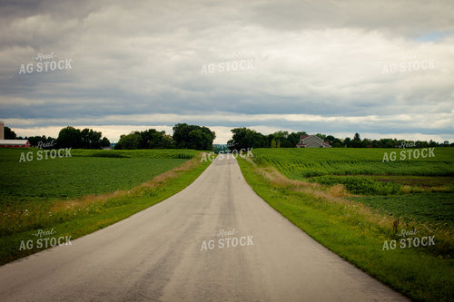 Country Road in the Summer 181031