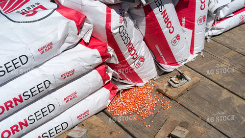 Treated Corn Seed and Bags 154078