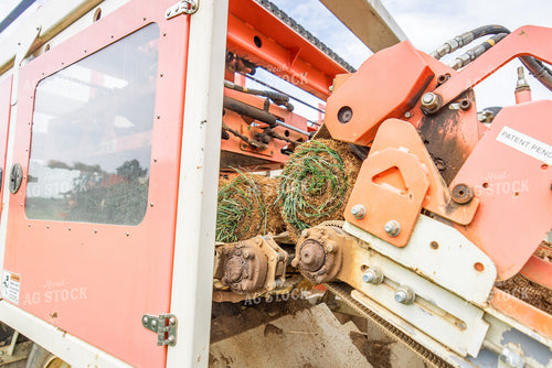 Harvesting Turf 270322