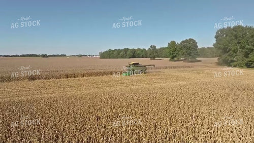 Corn Harvest 92092