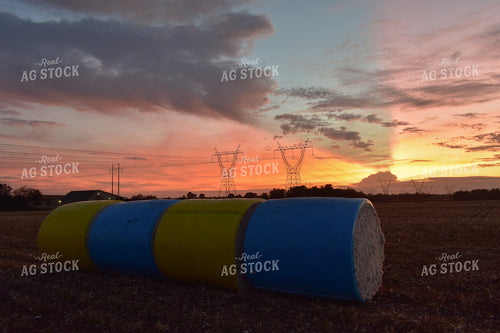 Cotton Bales 149002