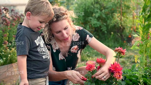 Farm Family in the Garden - 397