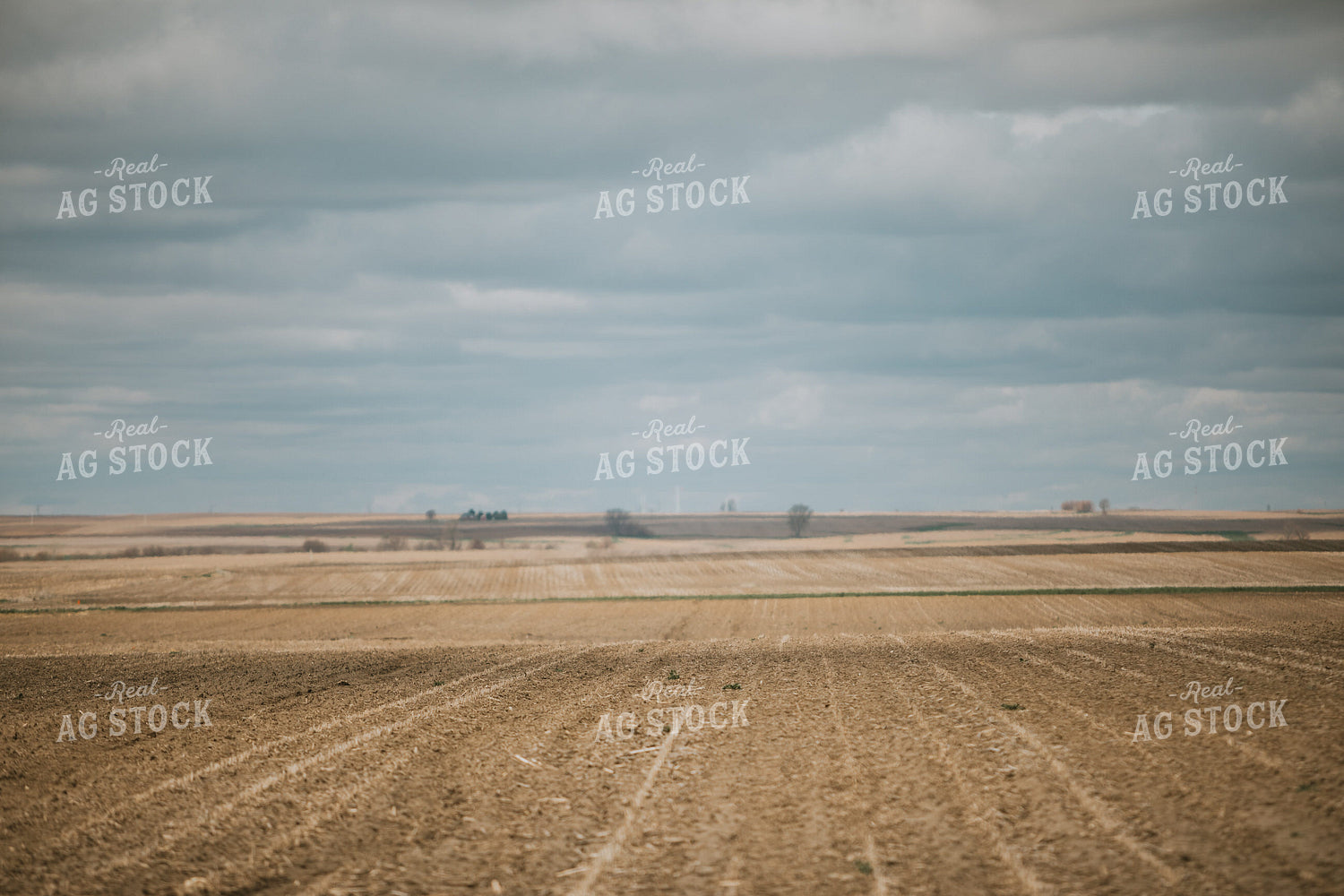 Unplanted Field in Spring 5403
