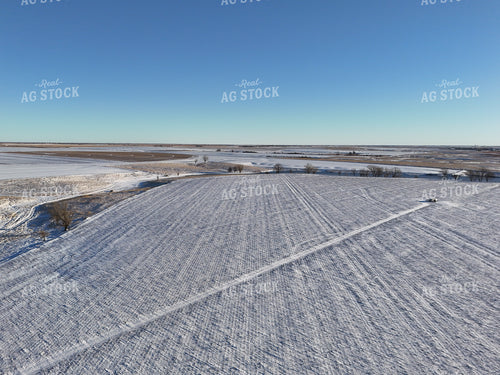 Winter Landscape 239465
