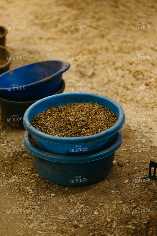 Cattle Feed 125324