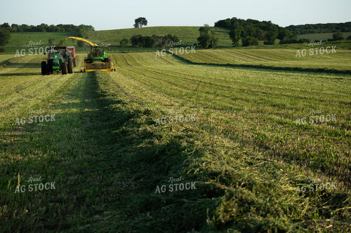 Haylage Harvest 272071