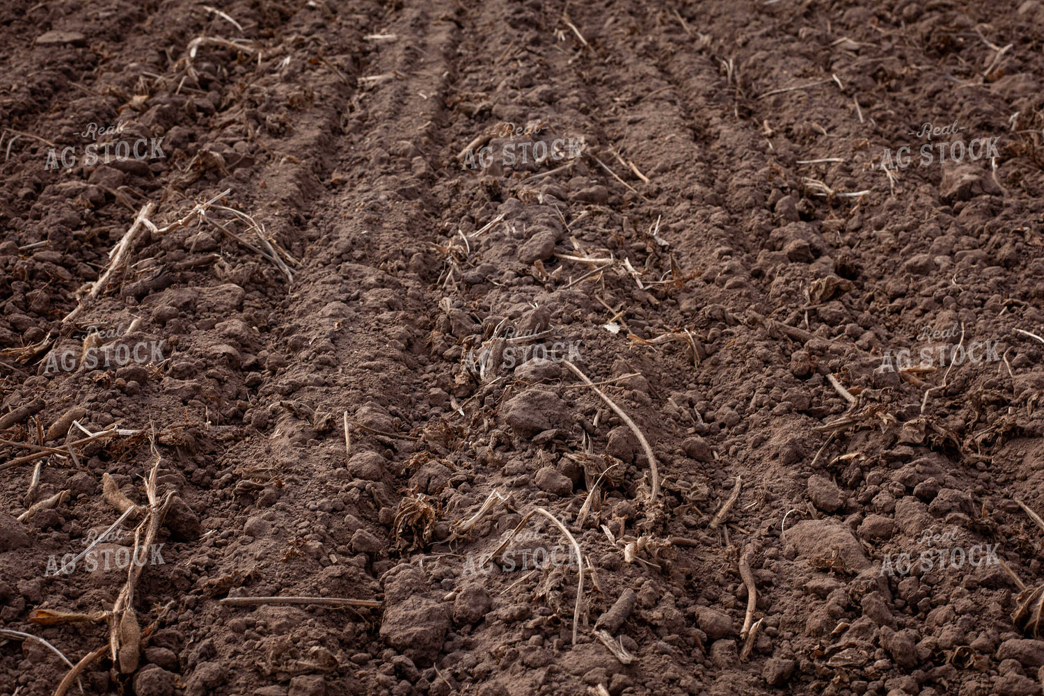 Soil Compaction 132101