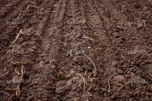 Soil Compaction 132101