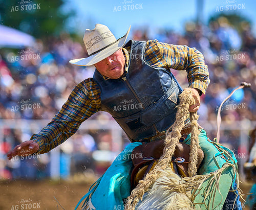 Rodeo 177031