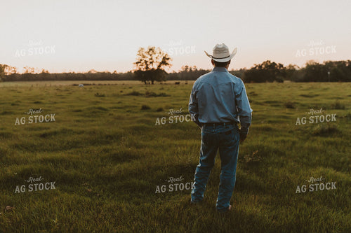 Rancher 203016