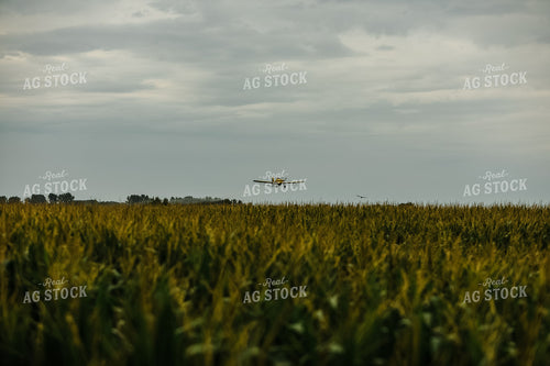 Crop Duster Corn Field 3134